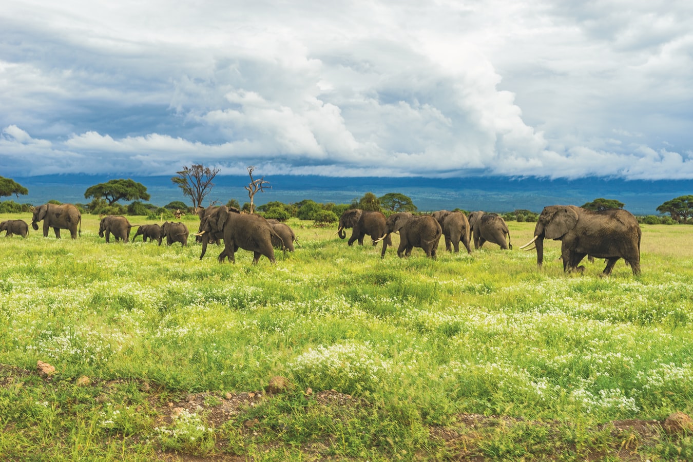 La Tanzanie